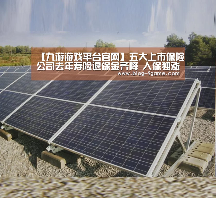 【九游游戏平台官网】五大上市保险公司去年寿险退保金齐降 人保独涨(图1) 九游游戏平台官网